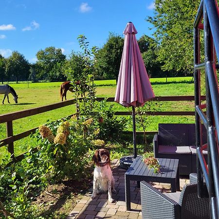 Schlafwagen Domblick Moerenhof Xanten Ngoại thất bức ảnh